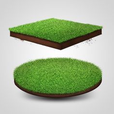 two pieces of grass that are cut in half and placed on top of each other