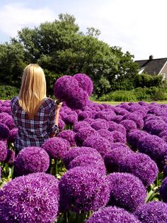 a woman standing in a field of purple flowers