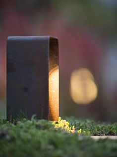 a small light that is sitting in the grass