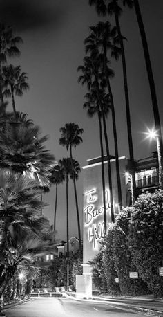 black and white photograph of palm trees in front of a building at night with lights on