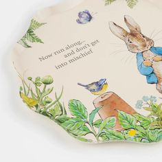 a plate with an image of a bunny and a bird on it, which reads now run along and don't get into nothing