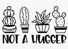 three potted plants with the words not a huger in black on a white background