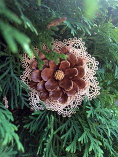 a pine cone hanging from a tree branch