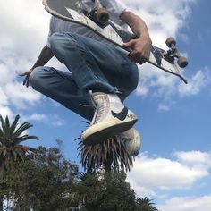 a man flying through the air while riding a skateboard on top of a palm tree