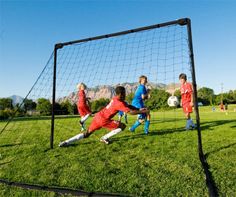 children are playing soccer on the grass in front of a goalie's net