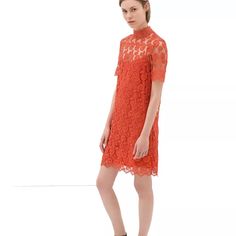 Zara Crochet Coral Dress New With Tags Size : S Elegant Orange Short Sleeve Dress, Short Sleeve Lace Dress For Cocktail, Chic Spring Cocktail Lace Dress, Chic Lace Dress For Spring Workwear, Chic Lace Dress For Workwear In Spring, Chic Short Sleeve Lace Dress For Date Night, Chic Lace Dress With Short Sleeves For Date Night, Spring Lace Midi Dress For Workwear, Spring Date Night Lace Dress With Short Sleeves