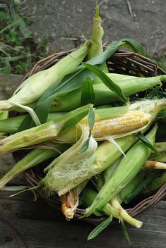 a basket filled with corn sitting on top of a wooden table