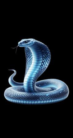 a blue snake on a black background