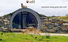 a sheep is standing on top of a rock structure with a picnic table in front of it