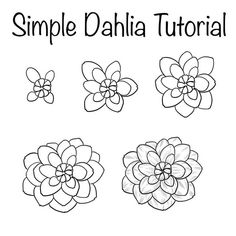 the simple dahlia flower is shown in black and white, with four petals on each side