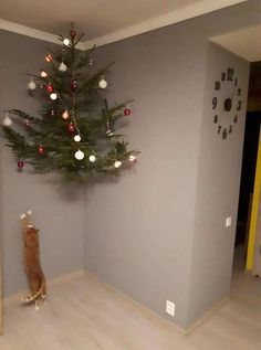 a cat sitting in front of a christmas tree with lights on it's branches