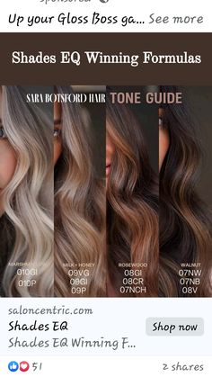 Color Sync Formulas, Hair Toner Formulas