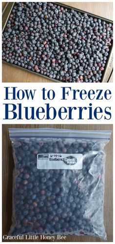 how to freeze blueberries in the freezer and use it as an appliance