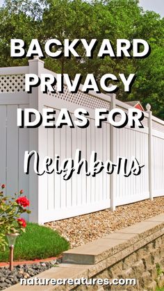 backyard privacy ideas for neighbor's