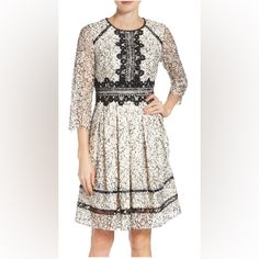 Smoke Free, Pet Free Home Chic Lace Dress For Fall Formal Occasions, Chic Lace Dress For Formal Fall Occasions, Chic Lace Dress For Formal Fall Events, Chic Fall Formal Lace Dress, Chic Fit And Flare Lace Dress, Elegant Lace Dress For Fall Cocktail, Elegant Fall Cocktail Lace Dress, Spring Formal Midi Lace Dress, Fitted Lace Dress For Fall Cocktail