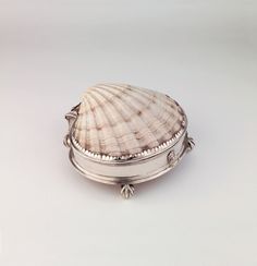 Ashmolean Museum, American Ballet Theatre, Fotografi Vintage, Scallop Shell, Scallop Shells, 판타지 아트, Silver Box, Shell Crafts