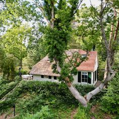 the house is surrounded by trees and bushes