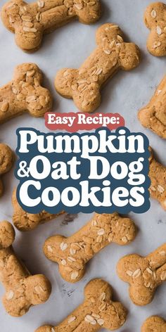 These DIY natural dog treats, Pumpkin and Oat Cookies, are easy, healthy, and perfect for your dog’s dental care! Made with simple ingredients like pumpkin and oats, they’re ideal for dogs with sensitive stomachs and help promote good digestion. Whether you're looking for DIY dog treats for teeth cleaning or just healthy, homemade snacks, this recipe has you covered. Try these DIY organic dog treats and give your pup the tasty, nutritious reward they deserve! Chicken And Pumpkin Dog Treats, Homemade Dog Treats Oatmeal, Turmeric Treats For Dogs, Dog Food Treats Homemade, Homemade Easy Dog Treats, Pumpkin Cookies For Dogs Doggie Treats, Oat And Pumpkin Dog Treats, Pumpkin Oat Flour Dog Treats, Diy Dog Biscuits Easy Doggie Treats