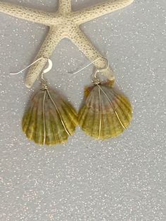 Hawaii sunrise shell 1 inch silver plated wire wrapped earrings with sterling silver ear hooks. The silver plated wire and sterling silver earring hooks are tarnish resistant and nickel and lead free. This listing has been sold but one just as beautiful can be made. These genuine sunrise shells are from Hawaii. This is a great gift for a loved one! Sterling Silver Wire Wrapped Earrings For Beach, Beach Wire Wrapped Sterling Silver Earrings, Shell-shaped Ear Wire Jewelry For Beach, White Shell-shaped Earrings With Ear Wire, Handmade Silver Shell Drop Earrings, Unique Silver Shell Earrings, Handmade Silver Dangle Shell, Silver Shell-shaped Earrings With Ear Wire, Beachy Shell-shaped Earrings For Gift