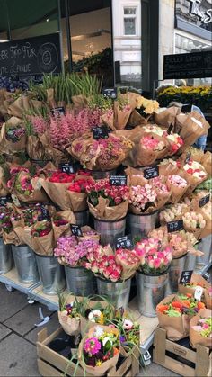 a bunch of flowers that are in buckets