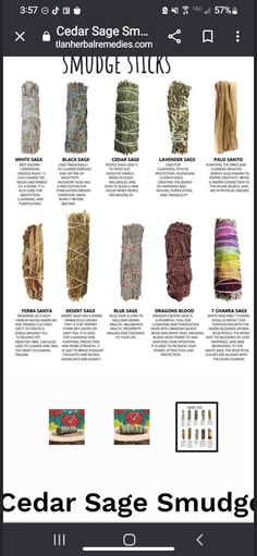 Juniper Sage Benefits, Pine Needle Spiritual Meaning, Types Of Smudge Sticks, Different Smudge Sticks Meaning, Types Of Sage For Smudging, Red Sage Benefits, Magical Properties Of Moss, Different Sage Meanings, Different Types Of Sage