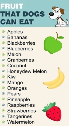 an image of fruits and vegetables that dogs can eat in their diets, including apples, bananas, blueberries, melon, cranberries, strawberries