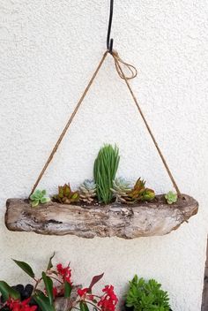 some plants are hanging from a rope on a white wall and there is also a planter with succulents in it