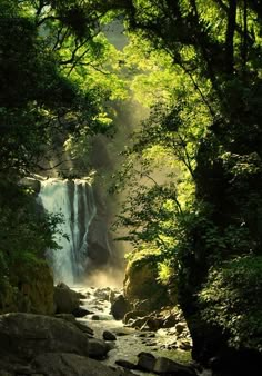 a waterfall in the middle of a forest filled with lots of trees and rocks, surrounded by lush green foliage