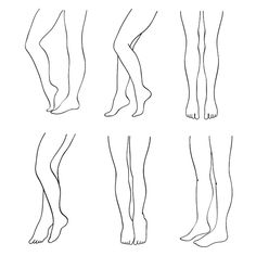 four different types of legs and feet