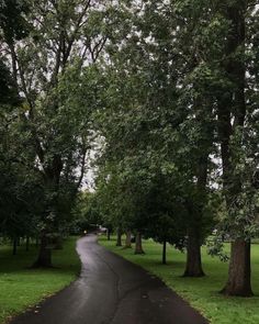 an empty road in the middle of a park with trees lining both sides and green grass on either side