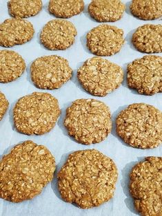 the cookies are ready to be baked in the oven