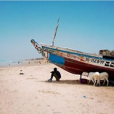 a man kneeling on the beach next to a boat with two animals standing in front of it