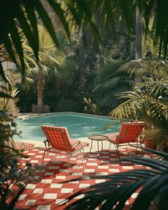 two lawn chairs sitting in front of a pool surrounded by palm trees and greenery