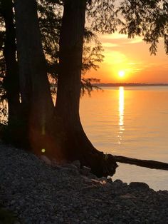 the sun is setting behind some trees by the water's edge with rocks and pebbles on the ground