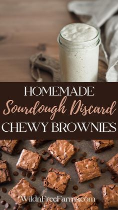 Sourdough Discard Brownie Discarded Sourdough Starter Recipes Cookies, Ways To Use Sourdough Starter, Sour Dough Discard Pie Crust, Sourdough Discard Brownies Healthy, Sourdough Discard Toddler Recipes, Freeze Sourdough Dough, Easy Recipes With Sourdough Starter, Easy Quick Sourdough Recipes, Discard Sourdough Brownies