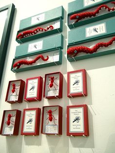 red and green frames are hanging on the wall