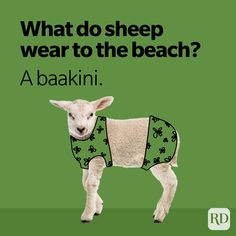 a sheep wearing a sweater with shamrocks on it's back and the words, what do sheep wear to the beach?