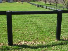 a black fence in the middle of a grassy field