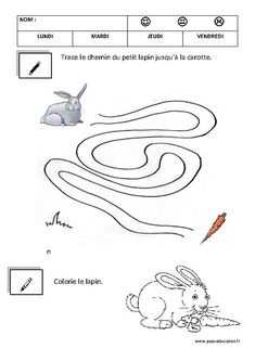 an animal and its surroundings are shown in this worksheet for children to learn how to