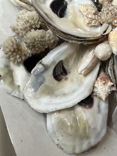 several oysters and seaweed on a white surface