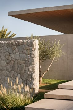 an outdoor area with stone steps leading up to a tree in the foreground and grass on the other side