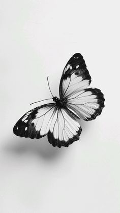 a black and white butterfly flying in the air