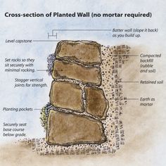 the cross section of planted wall no mortar required is shown in this graphic above it's description