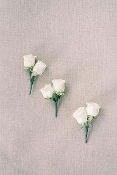 three white roses are placed on a gray surface