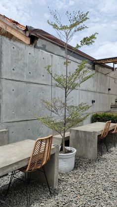 two chairs and a tree in front of a concrete building