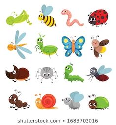 different kinds of bugs and insects on a white background