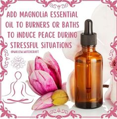 Stressful Situations, Kitchen Witch, Medicinal Plants, Ritual, Aromatherapy, Magnolia