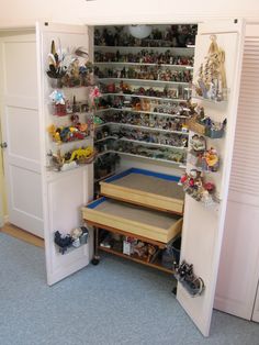 the shelves in the closet are filled with toys