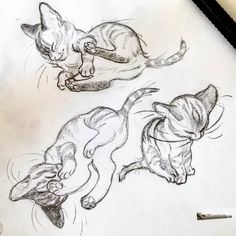 two drawings of cats playing on paper with pencils next to each other, one cat jumping and the other laying down