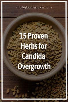 Explore the power of natural antifungal supplements and herbs in combating candida overgrowth. Discover effective herbal remedies and antifungal foods to reduce candida symptoms. Find ways to treat candida naturally with these potent herbs for candida removal. Say goodbye to candida overgrowth with these natural antifungals and supplements. Take control of your health and incorporate these proven natural remedies for a healthier, balanced gut flora. Holistic Health Nutrition